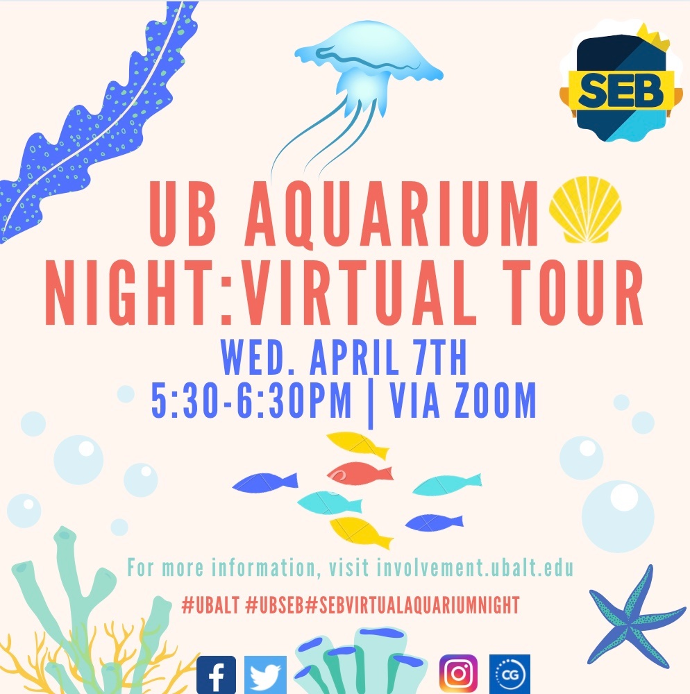 UB Aquarium Night: Virtual Tour!